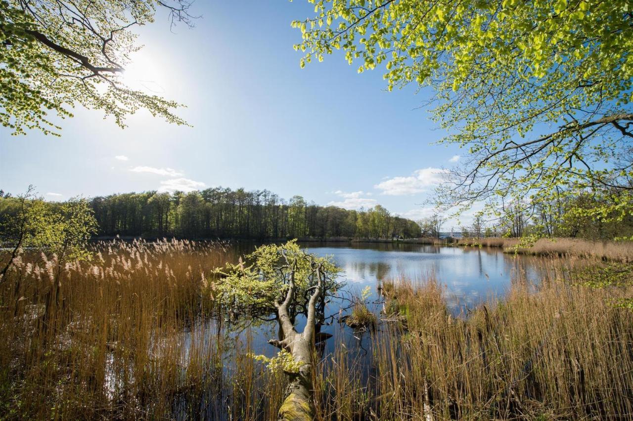 Meer-Studio Glücksburg Eksteriør bilde